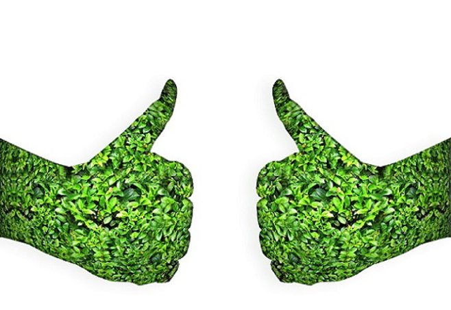 Green thumbs up Green thumbs up